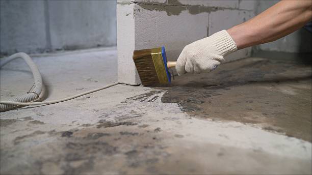 24/7 Emergency Crawl Space Encapsulation experts in Leicester, NY